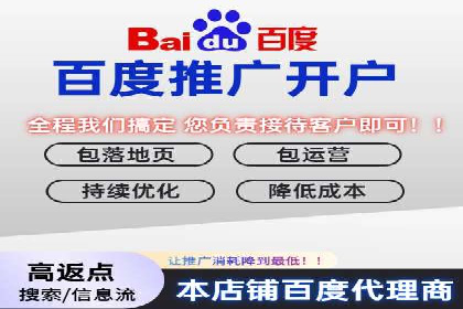 百度SEO推广成功案例：品牌知名度提升